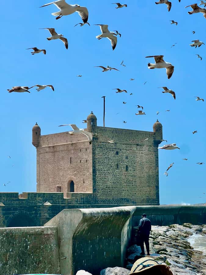 Day Excursion From Marrakech to Essaouira City - Craft Galleries and Souks: Easy Souvenir Shopping Without Overthinking