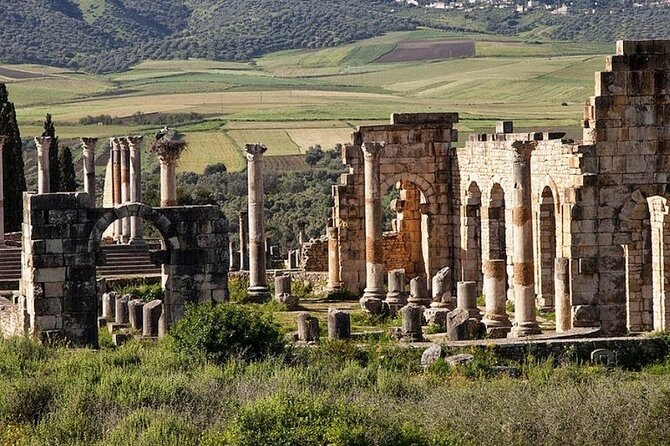 Day Tour to Volubilis & Meknes from Fes - Volubilis Guided Time: What You Can Realistically See in 1 Hour