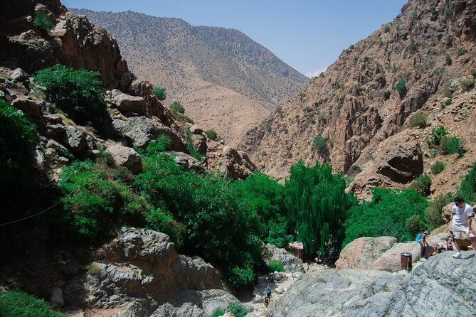 Day trip - Atlas Mountains Ourika Valley Waterfall From Marrakech - Women’s argan oil cooperative: watch production, try a technique, then buy smart