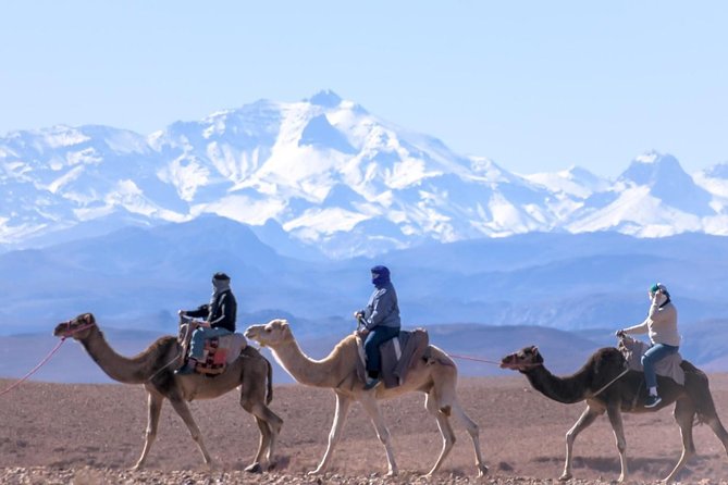 Day Trip:Berber Villages and 4 Valleys Atlas Mountains &Waterfu l& camel Ride - Key takeaways before you go