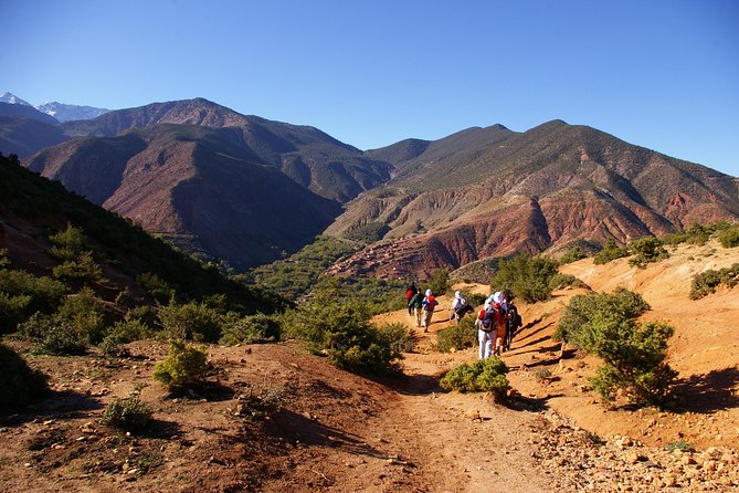 Day Trip:Berber Villages and 4 Valleys Atlas Mountains &Waterfu l& camel Ride - Lunch in a Berber home: where the day slows down