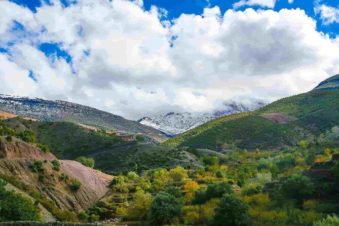 Day Trip from Marrakech Explore the Atlas Mountains and 4 Valleys - Why this Atlas day trip works from Marrakech
