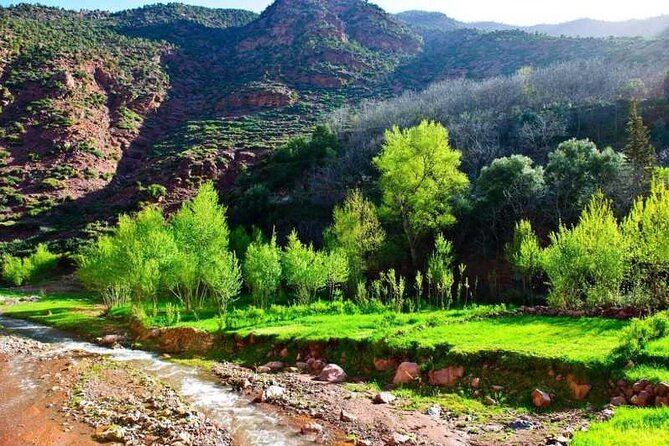 Day Trip from Marrakech Explore the Atlas Mountains and 4 Valleys - The morning start at Jemaa el-Fna (8:30 AM)