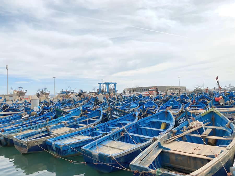 Day trip to Essaouira - Why Essaouira Feels Like a Different Morocco