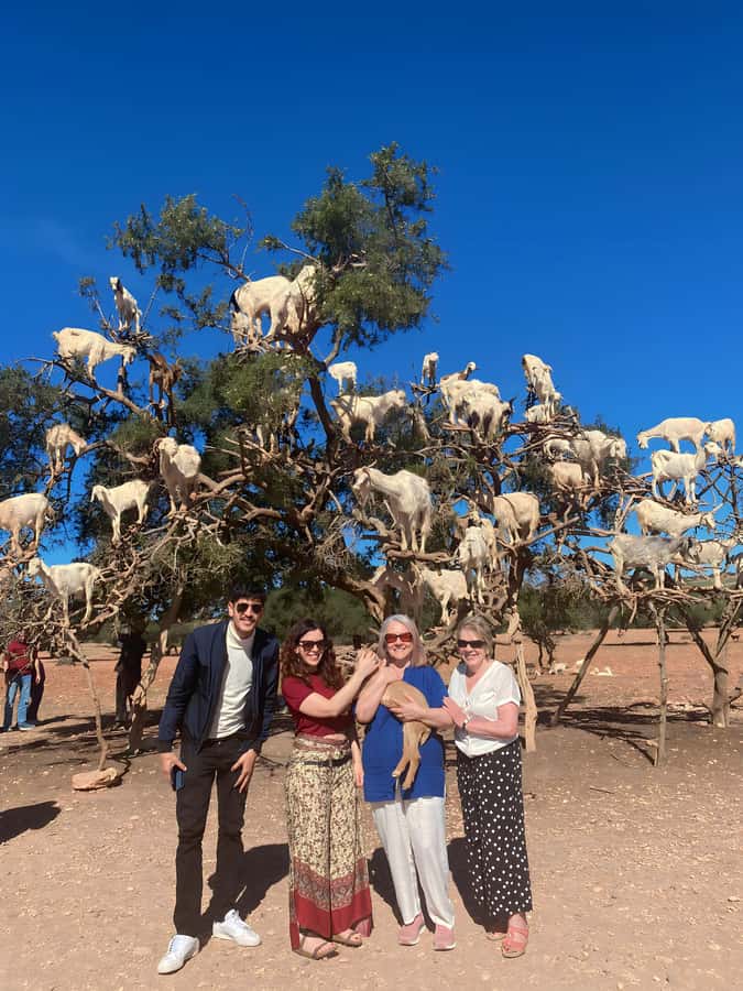Day trip to Essaouira - The Argan Oil Manufacturing Village Stop You’ll Remember