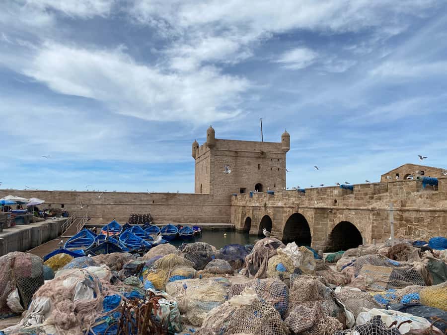 Day trip to Essaouira - Where the Fresh Fish Fits In