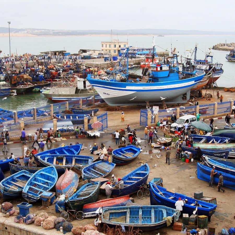 Day Trip To Essaouira From Marrakech With Guide - Marrakech to Essaouira by day trip: what you’re really buying