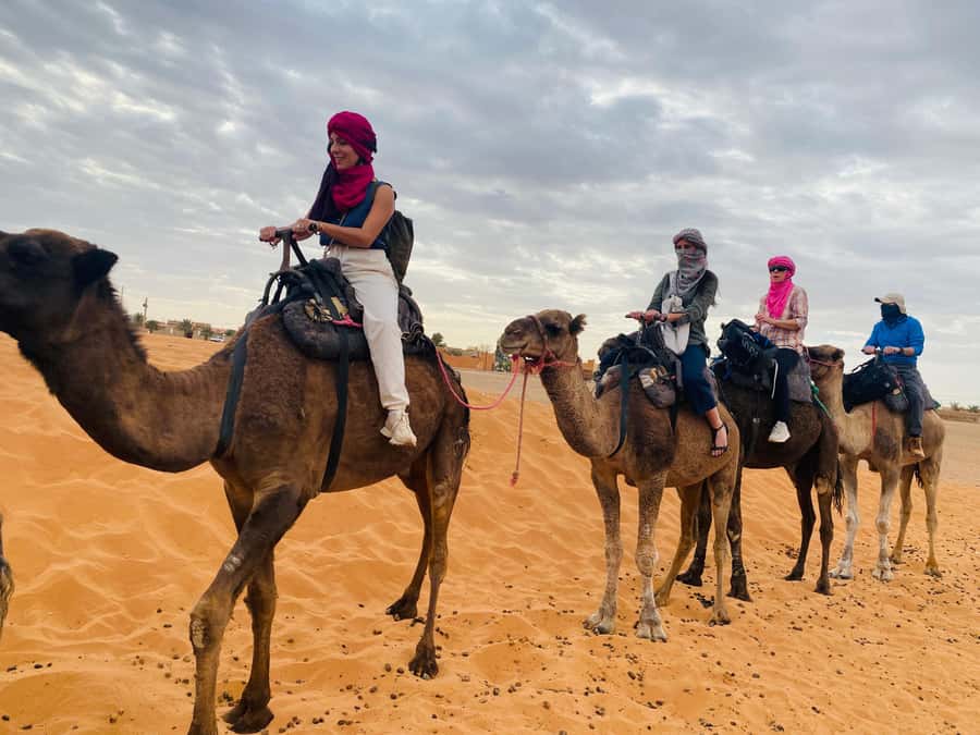 Day trip to Essaouira - Marrakesh Pickup, the Air-Conditioned Ride, and Your First Stops