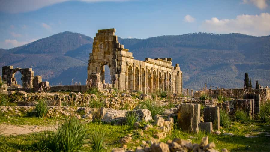 Day trip to meknes ,volubilis , moulay idris - Volubilis Roman ruins and the mosaic floors you will remember