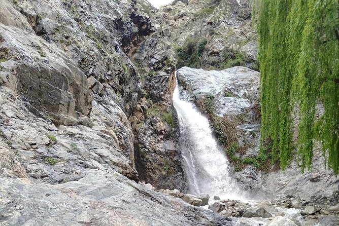 Day Trip to Ourika Valley and Atlas Mountains - Key highlights worth your attention