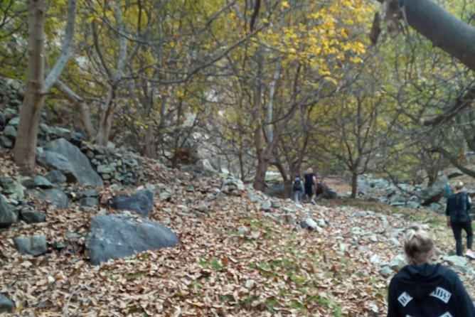 Day Trip to Ourika Valley and Atlas Mountains - Should you book this Ourika Valley and Atlas day trip?