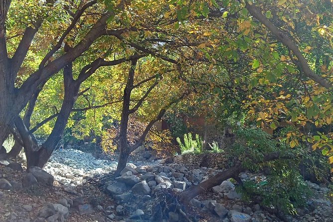 Day Trip to Ourika Valley and Atlas Mountains - Berber house and pottery workshop: the stops that actually teach
