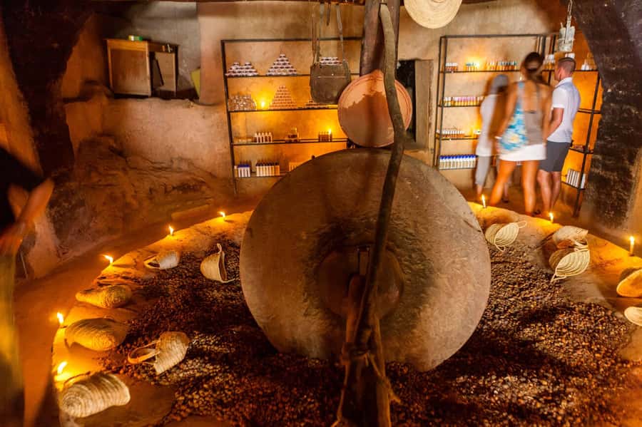 Day Trip to Ourika Valley & Atlas Mountains with Lunch - Key highlights at a glance
