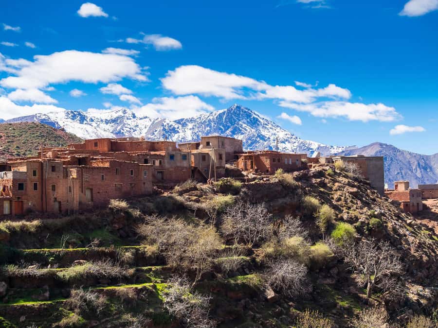 Day Trip to Ourika Valley & Atlas Mountains with Lunch - Berber breakfast and a Berber house visit