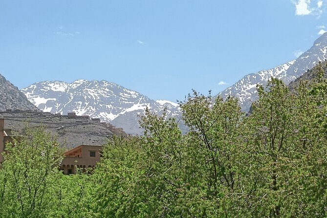 Day Trip to Ourika Valley from Marrakech - Key highlights worth packing for