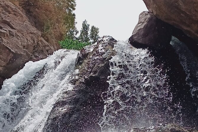 Day Trip to Ourika Valley from Marrakech - Comfort bus pickup: the small convenience that saves the day