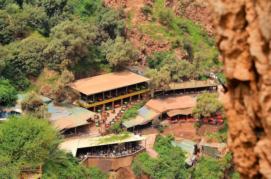 Day Trip To Ouzoud Waterfalls & Boat Ride From Marrakech - Wild monkeys in the Grand Atlas: fun to see, respect the moment