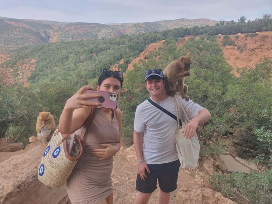 Day Trip To Ouzoud Waterfalls (Guide Hik & Boat option) - Monkeys near Ouzoud: when it is fun and when you stay smart