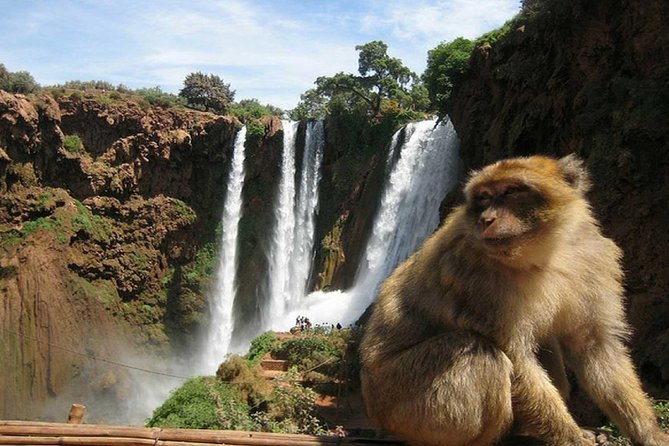 Day Trip To Ouzoud Waterfalls (Guide Hike & Boat are options) - The local guide add-on and the best way to use it