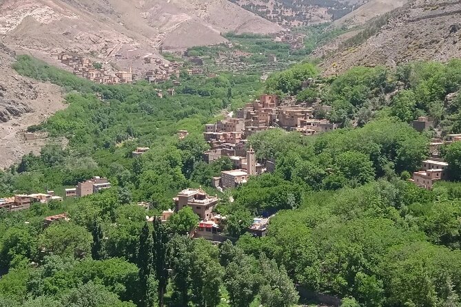 De Marrakech: Visite des montagnes de l'Atlas avec un guide - Argan Oil Co-op and Azrou Stops on the Way Out