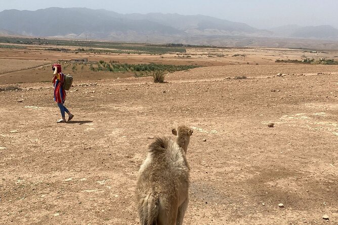 Desert Agafay and Atlas Mountains Day Tour & Camel ride From Marrakech - Imlil Area Lunch Stop: What to Expect and How to Handle Lunch Uncertainty