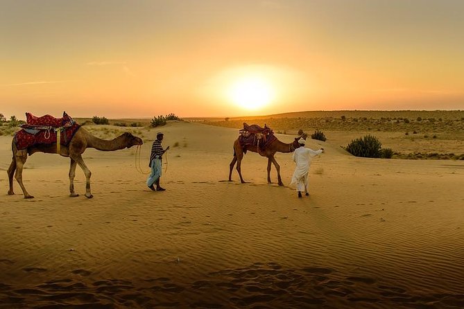 Desert Agafay & Atlas Mountains, Valleys & Waterfalls Tour from Marrakech - Argan women’s cooperative: what to expect and how to make it meaningful
