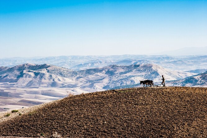 Desert Agafay & Atlas Mountains, Valleys & Waterfalls Tour from Marrakech - Agafay-style desert feeling, but the day is really Atlas valleys