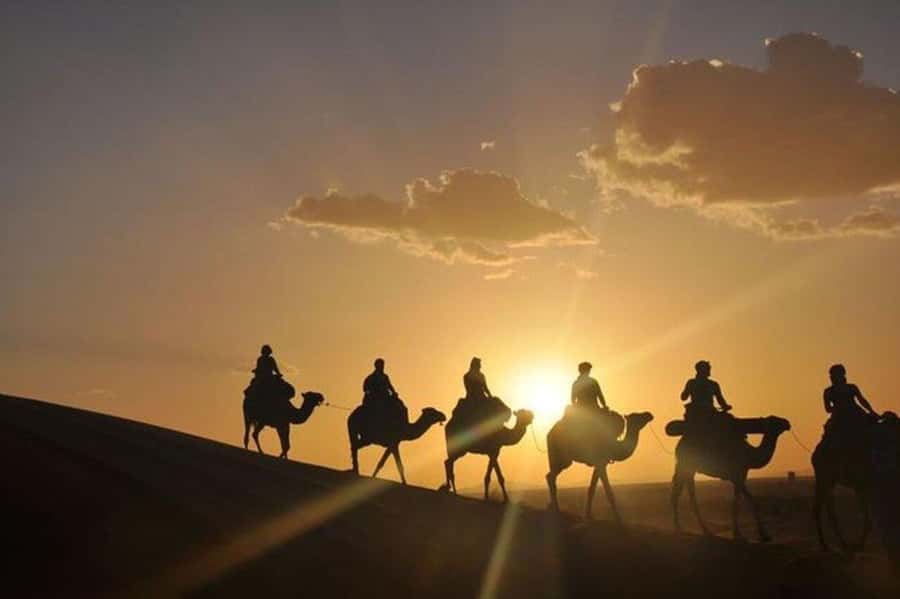 Desert & Beach Quad Adventure With Camel Ride - Key Highlights You Should Know Before You Go