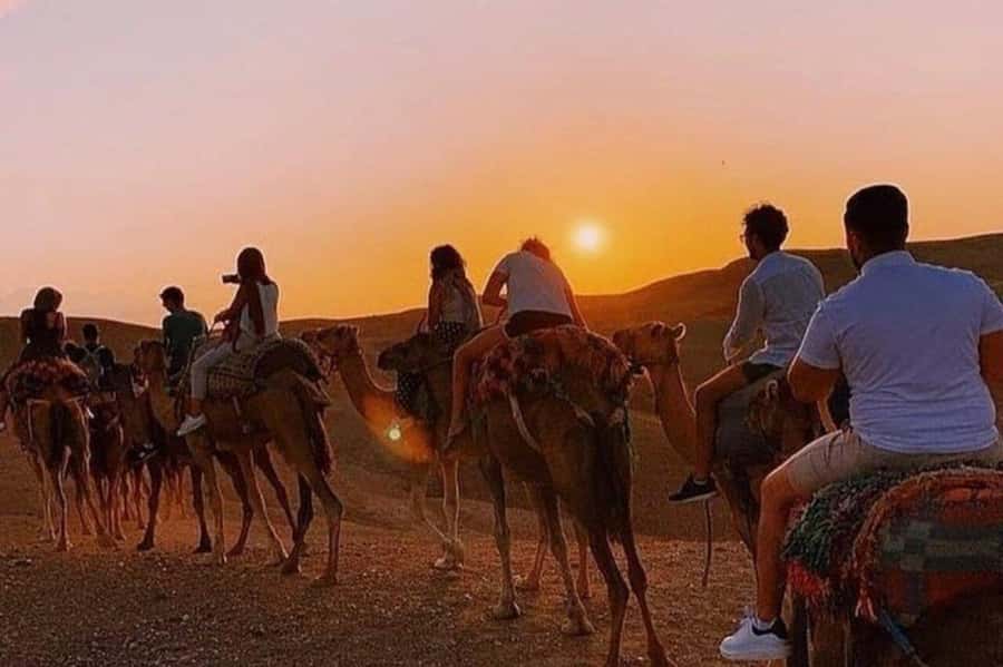 Desert & Beach Quad Adventure With Camel Ride - The Big Picture: Quad, Camel, and Sandboarding Near Agadir