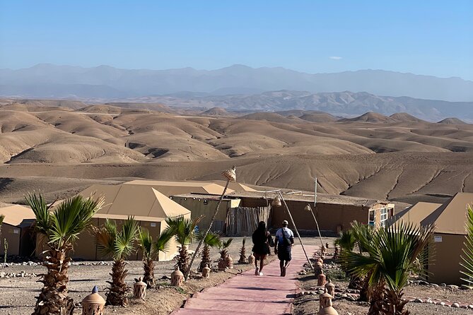 Desert Full Day: Quad, Camel, Dinner & Show or Pool Day and Lunch - Camel Ride: Gentle Animals, Different Comfort Factor