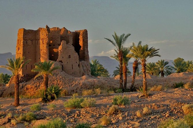 Desert Odyssey: A 2-Day Journey from Marrakech to Zagora - Key Highlights Worth Planning Around