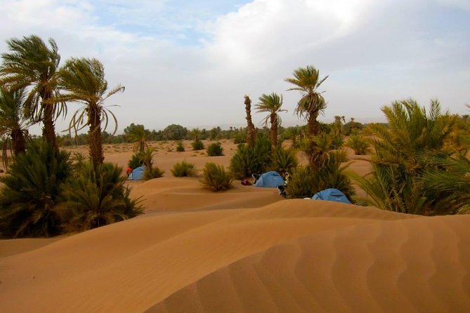 Desert Odyssey: A 2-Day Journey from Marrakech to Zagora - Zagora Camel Ride Plus the Overnight Camp Setup