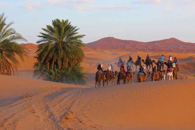 Desert Odyssey: A 2-Day Journey from Marrakech to Zagora - Tinfou Dunes Sunrise and the Second Camel Ride