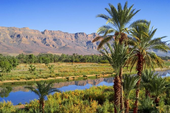 Desert Odyssey: A 2-Day Journey from Marrakech to Zagora - Ait Ben Haddou: Fortified Village Views and Easy History Time
