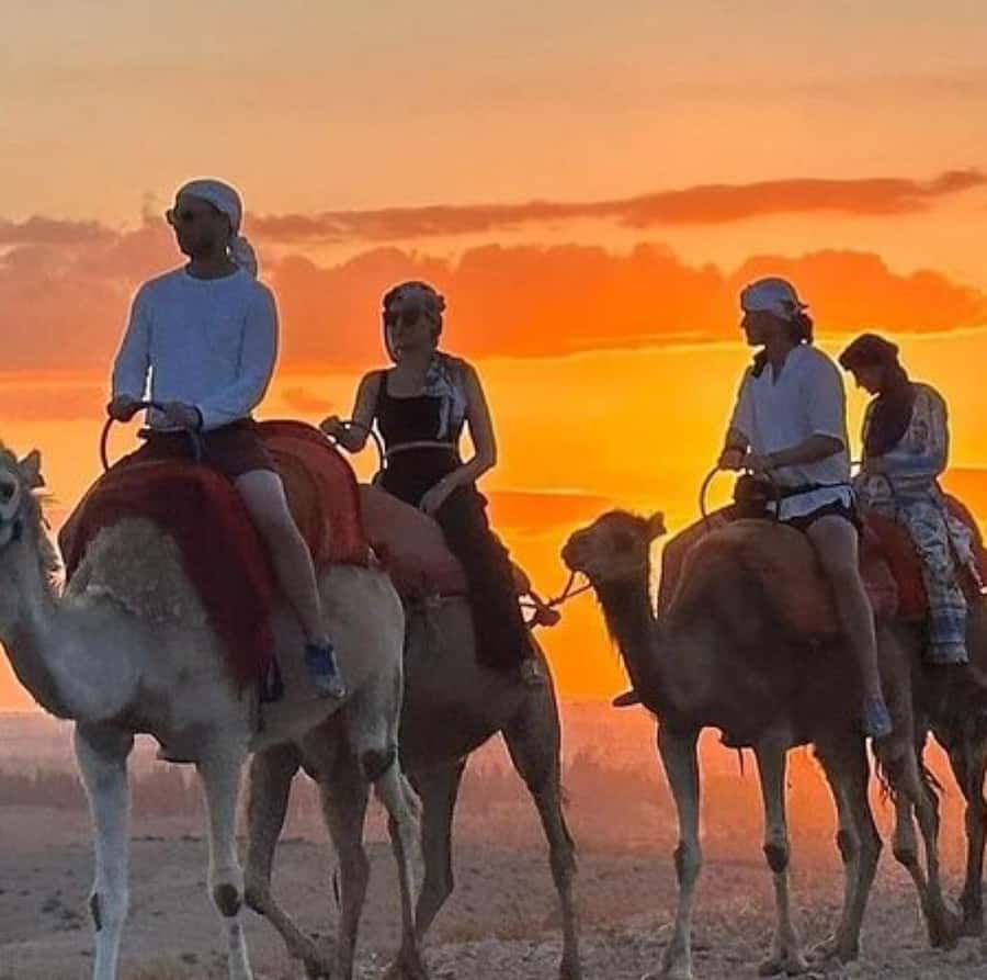 DINNER IN AGAFAY DESERT UNDER THE STARS WITH SHOW AND CAMELS - Stargazing with mint tea, not just dessert and photos