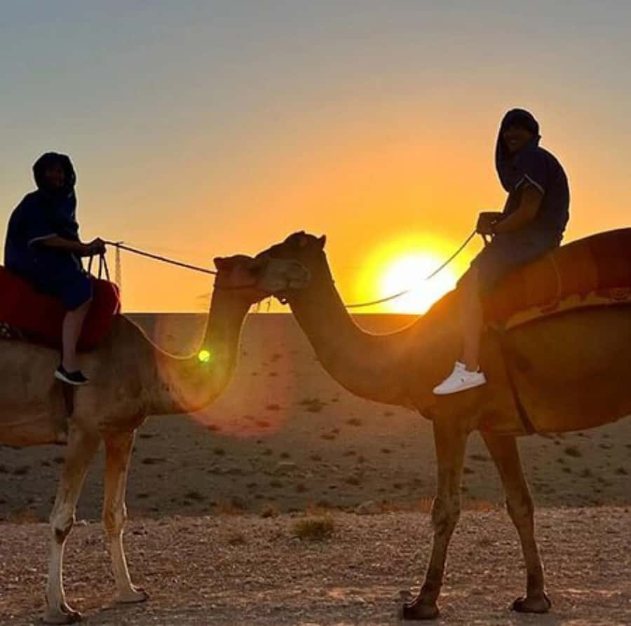 DINNER IN AGAFAY DESERT UNDER THE STARS WITH SHOW AND CAMELS - Getting there and back in one smooth evening (about 5 hours total)