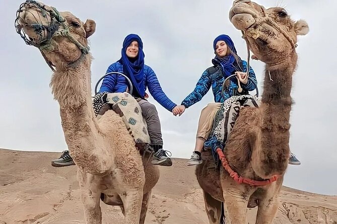 Dinner Show & camel ride with sunset views - Marrakech to Agafay at sunset, with pickup handled