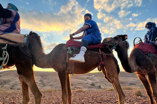 Dinner Show & camel ride with sunset views - Value for $27.81: what you really get in one evening