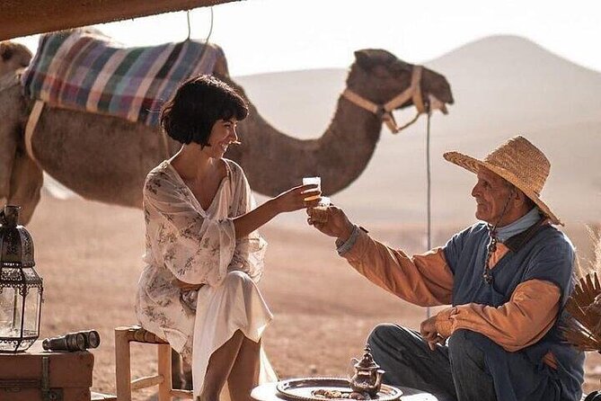 Dinner Show & camel ride with sunset views - The sunset camel ride: short, scenic, and very photo-friendly