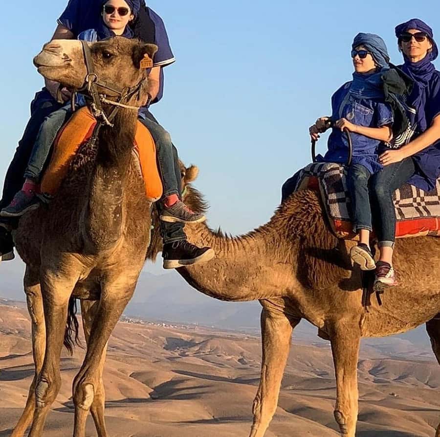 Dinner show in agafay Desert 1h quad bike & 20 min camels - Guides, Organization, and the Small Details That Matter