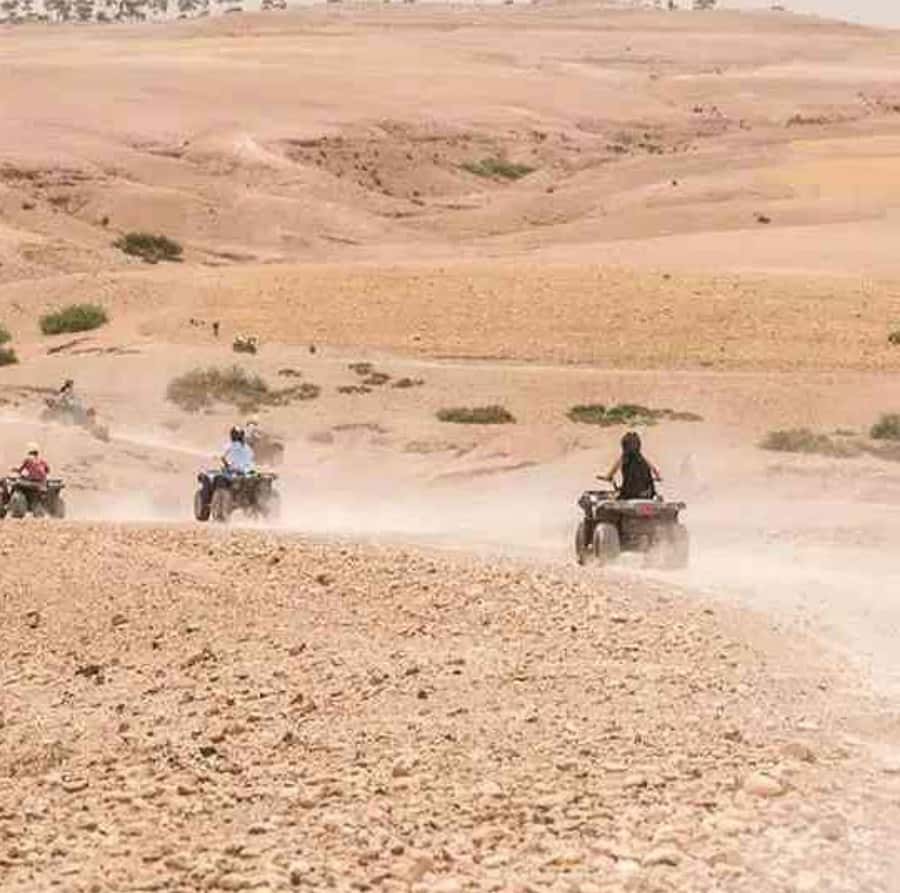 Dinner show in agafay Desert 1h quad bike & 20 min camels - Who This Agafay Quad and Dinner Show Fits Best