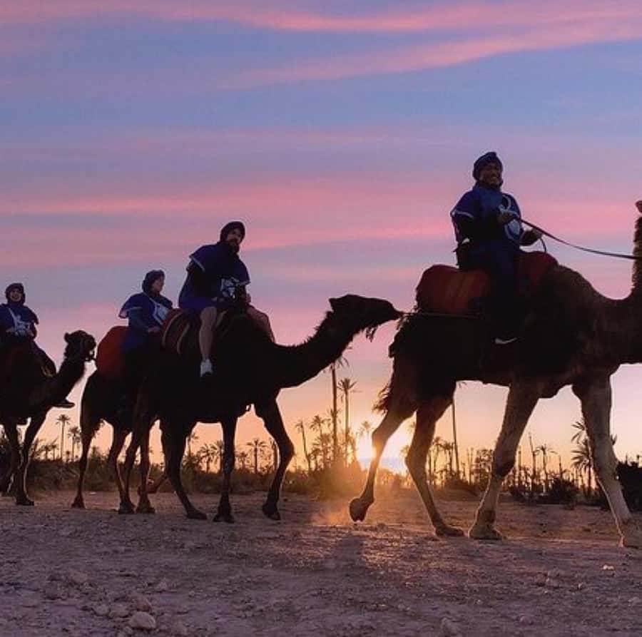 Dinner show in agafay Desert 1h quad bike & 20 min camels - Getting Out of Marrakech Comfortably: Pickup and Timing for Sunset