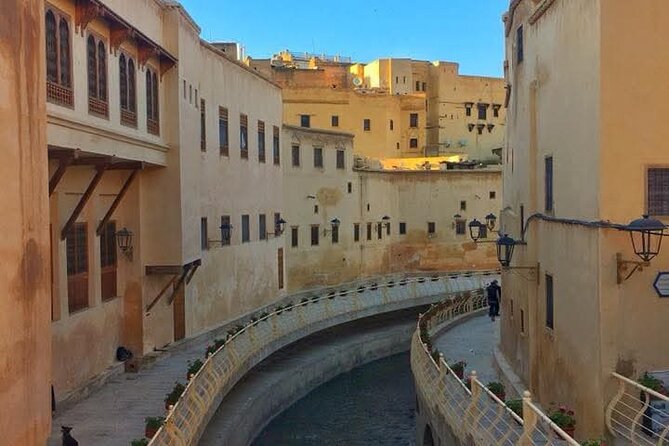 Discover Fes with the Best -Authentic Tours Unforgettable Stories - Stop 4: Chouara Tannery, Leather Making and the Dye-Vat View