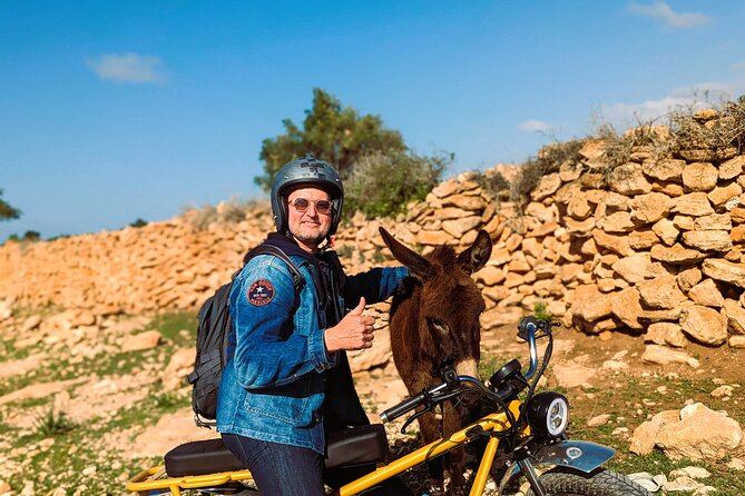 Discovery Tour around Essaouira by Electric Motorcycle - Norfolk Pines at Golf d’Essaouira Mogador, plus two Ghazoua viewpoints