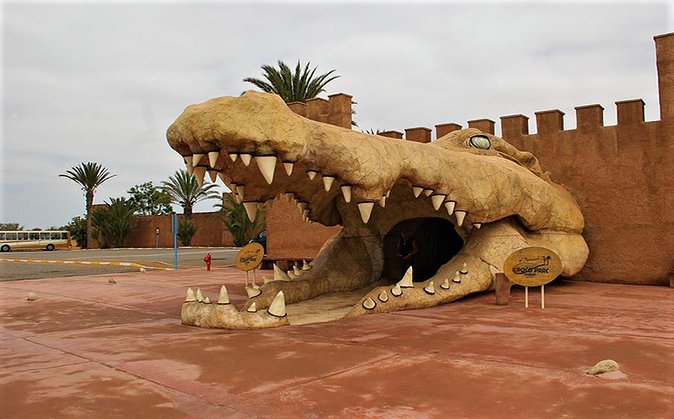 Effortless Agadir Crocoparc Ticket and Transfer Service - Crocoparc in Agadir, why it’s built for close-up animal time