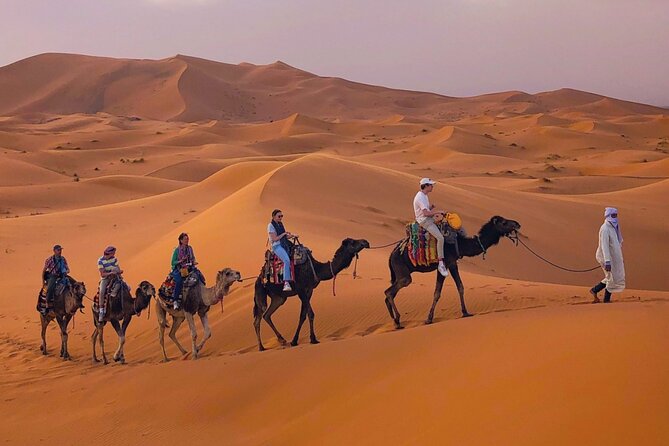 Erg Chebbi Desert Overnight in Tent with Camel Ride & Sandboard - Key points before you go