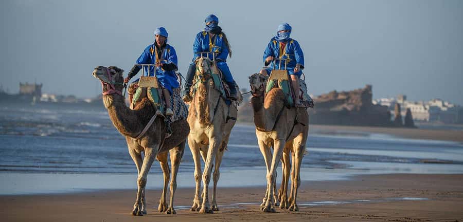 Essaouira: 2-Hour Camel Ride - Key highlights that make this camel ride worth your time