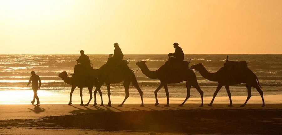 Essaouira: 2-Hour Camel Ride - FAQ