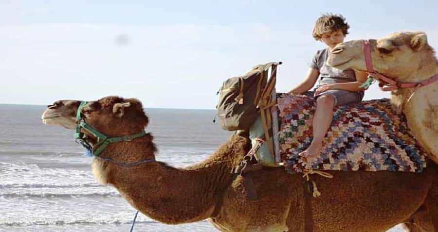 Essaouira: 2-Hour Camel Ride - From Essaouira hotel pick-up to the camel stables