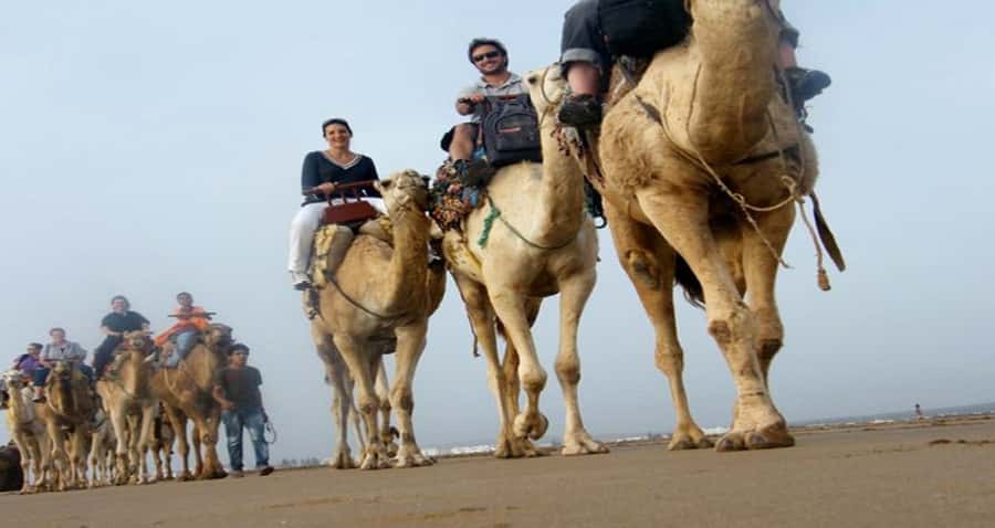 Essaouira: 2-Hour Camel Ride - How the ride feels: getting comfortable in the saddle